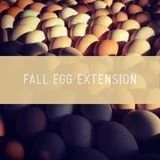 fall egg extension.jpg
