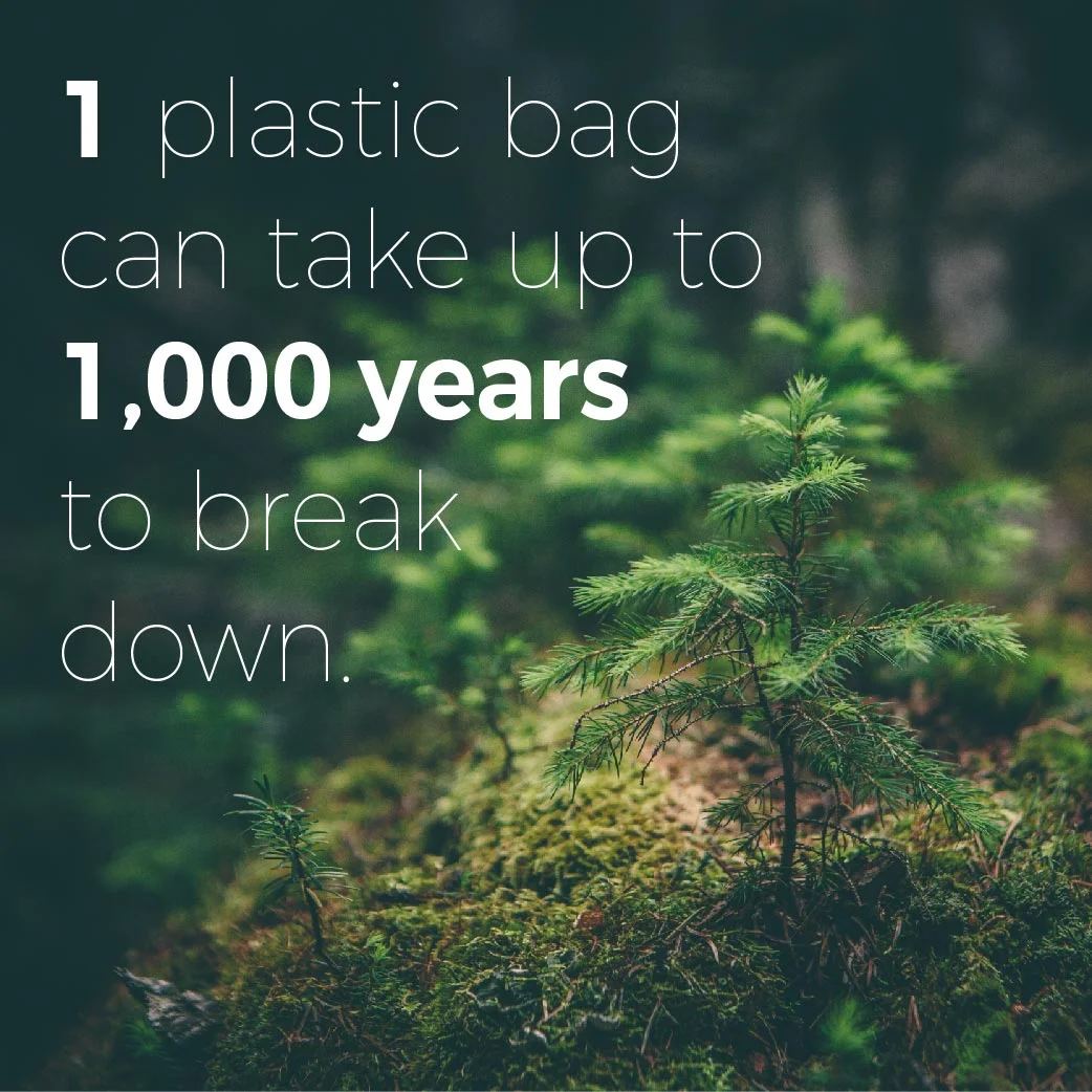1 bag-01.jpg