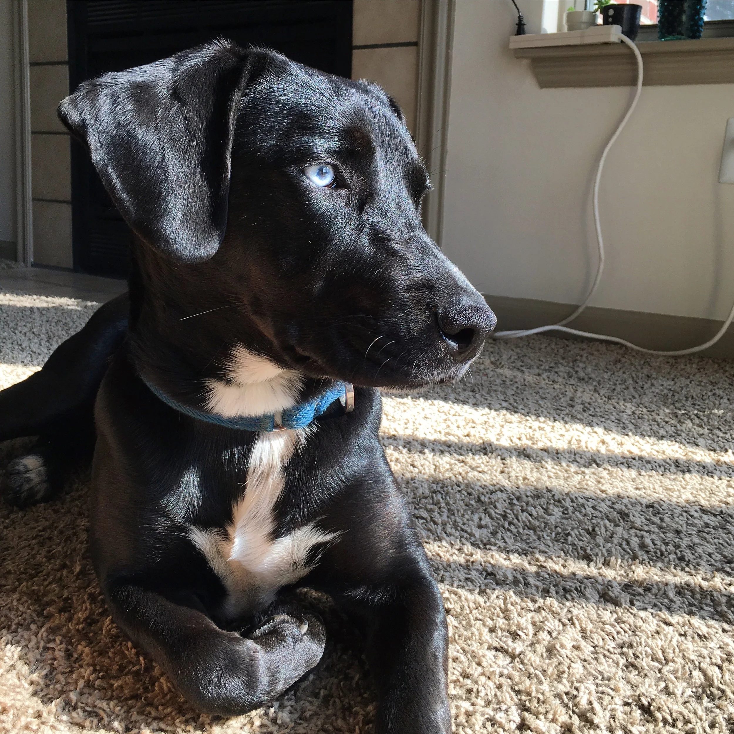 30 Things That Make Me Smile