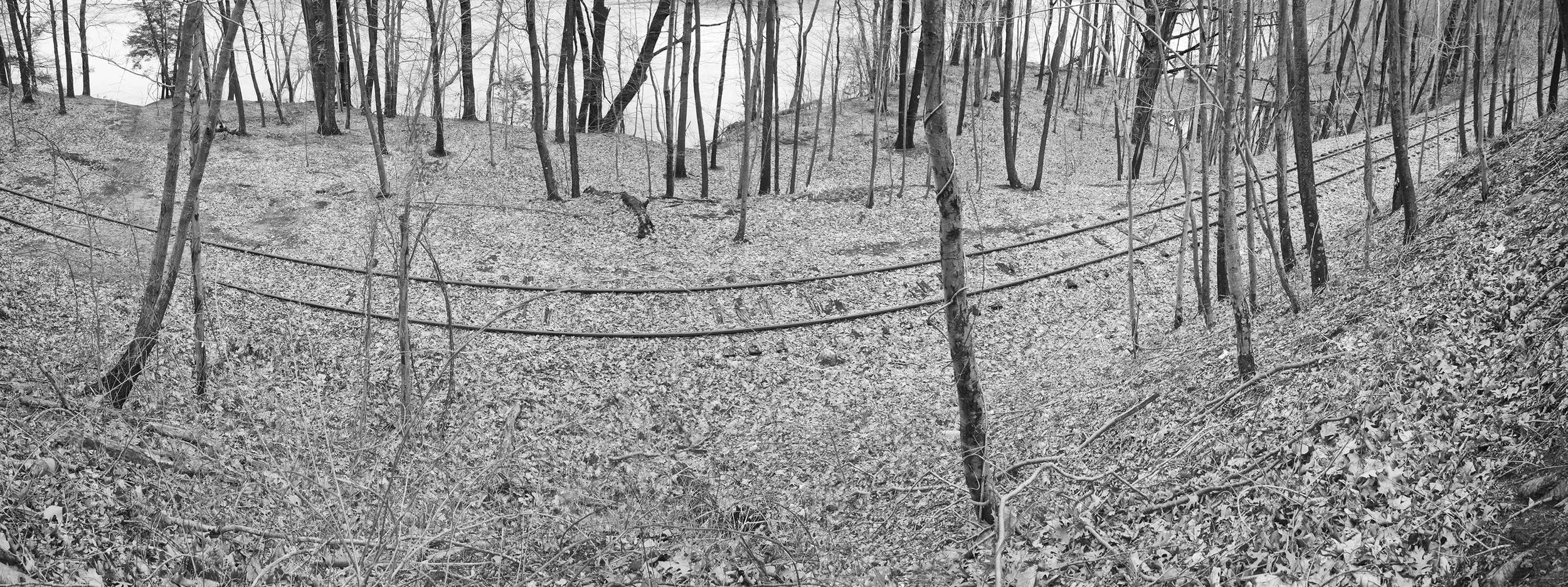 The Tracks
