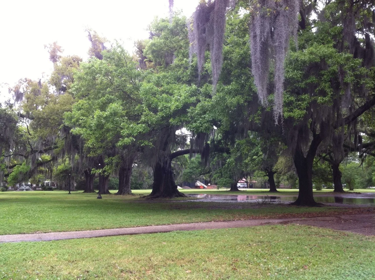20110330_172602000_iOS.jpg