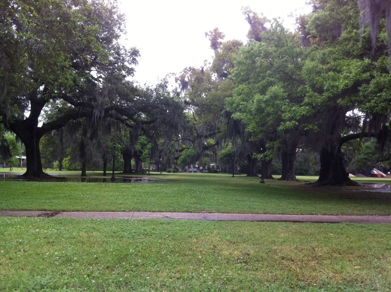 20110330_172545000_iOS.jpg