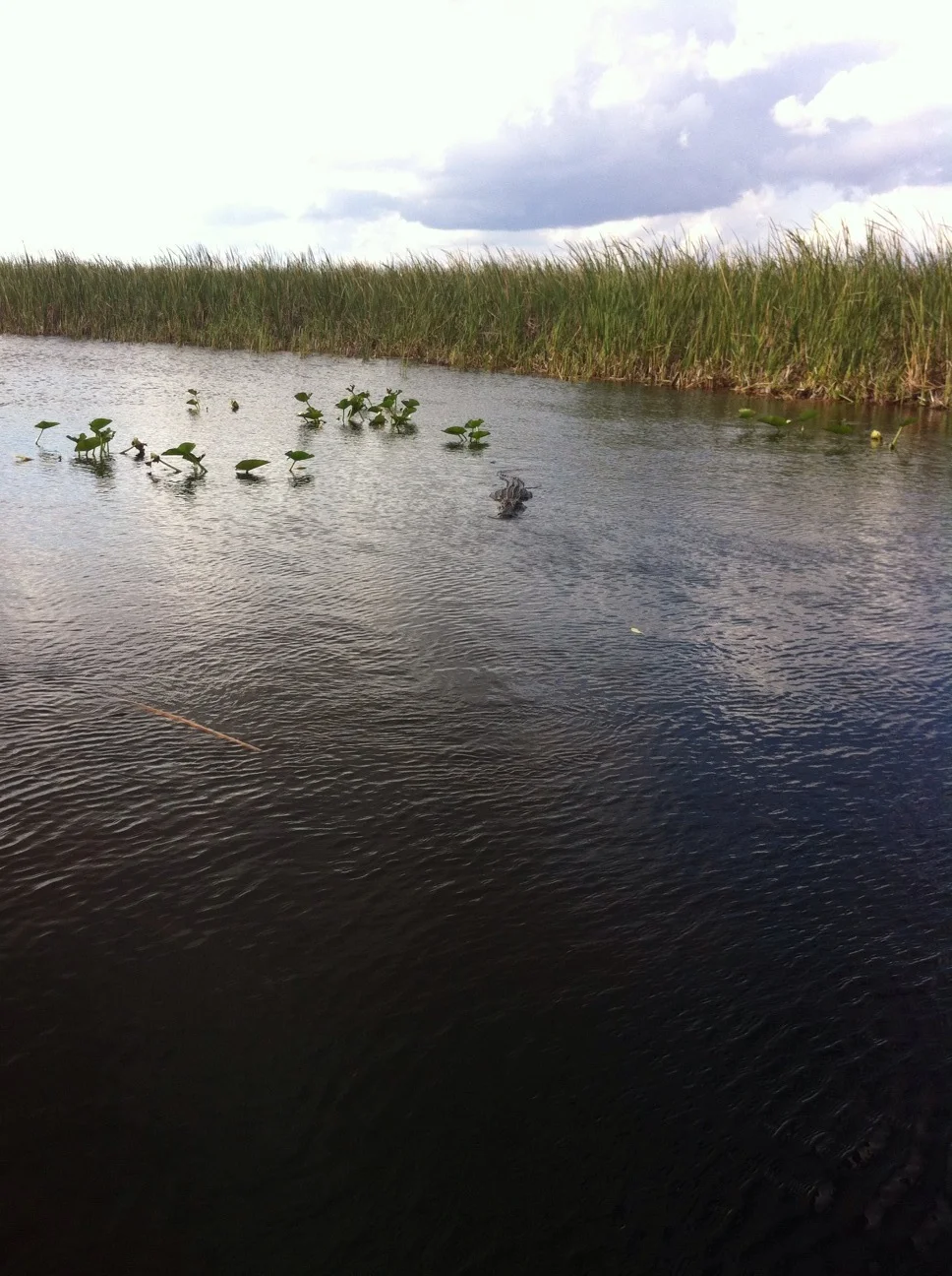 20130209_195428208_iOS.jpg