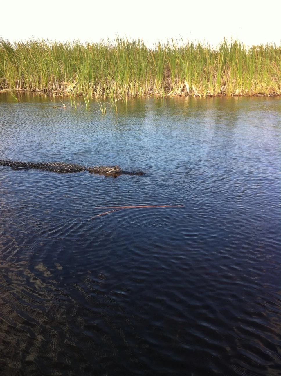 20130209_195439229_iOS.jpg