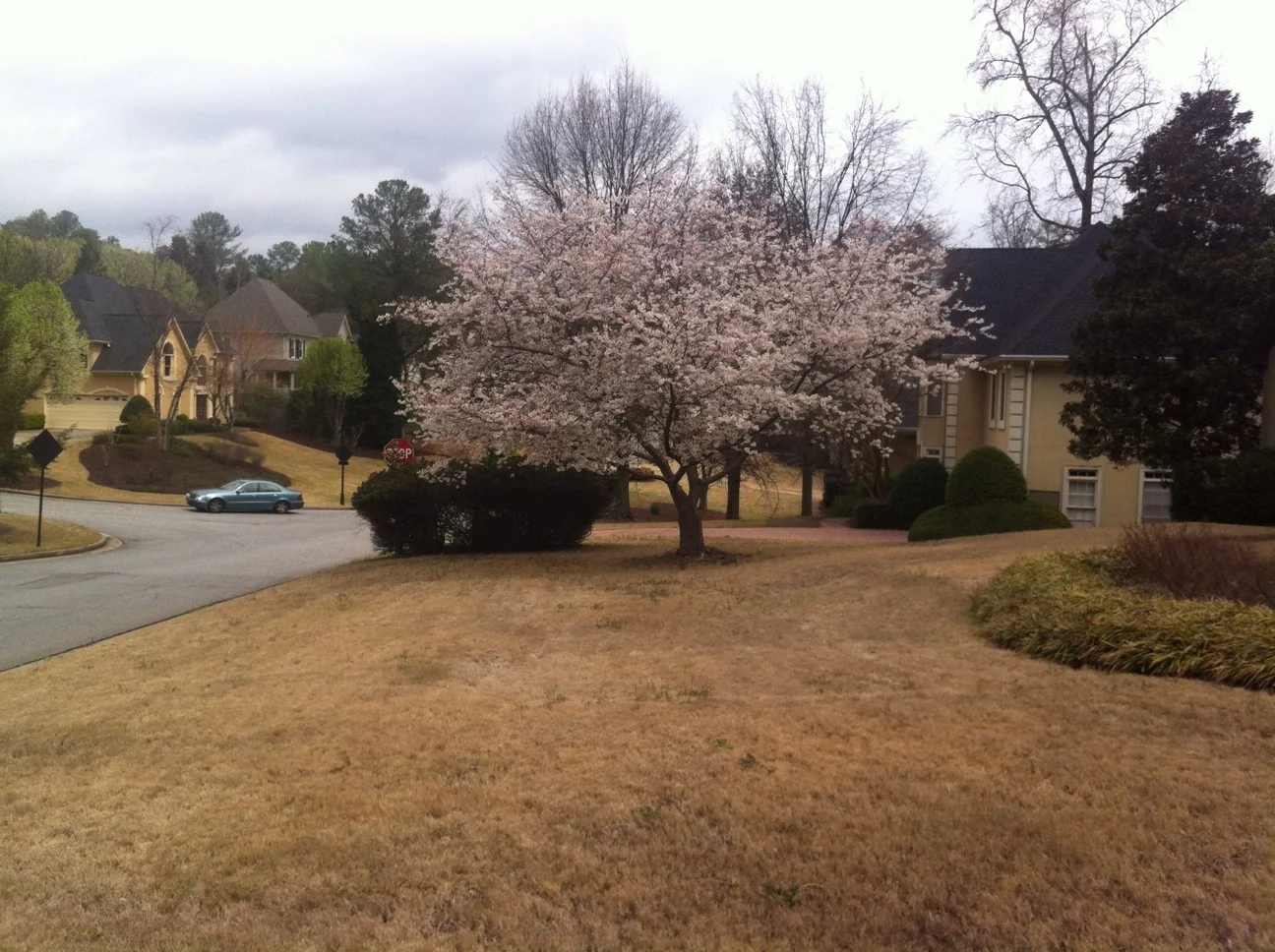 20130331_162628172_iOS.jpg