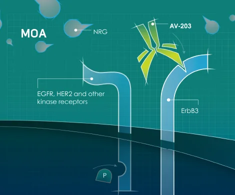 Translating science into value See case study
