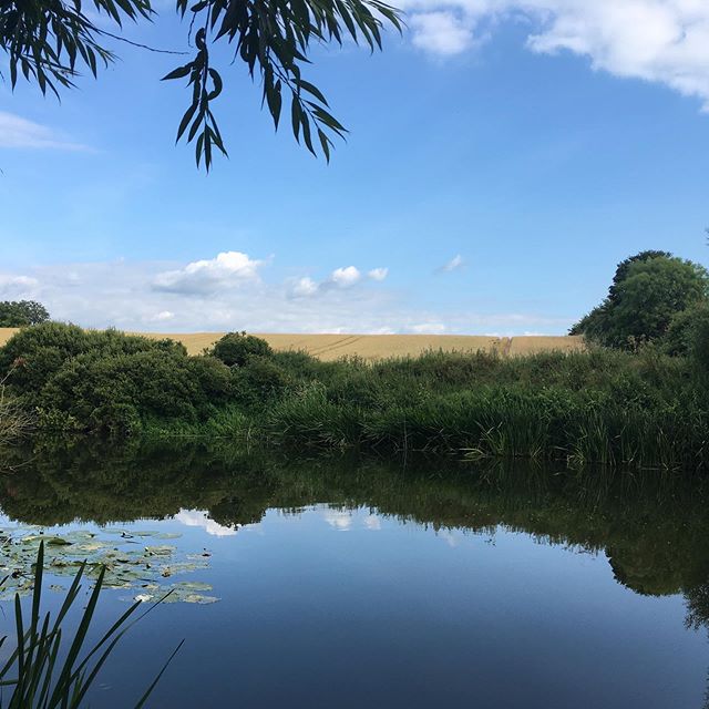 Wild swimming in Saltford! What a great post-work adventure with @jeni_sloane #wildswimming #getmeoutofthecity