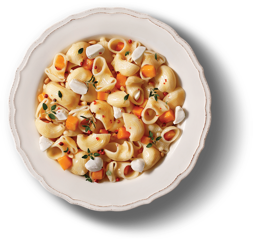 pioe_rigate_plate-1.png