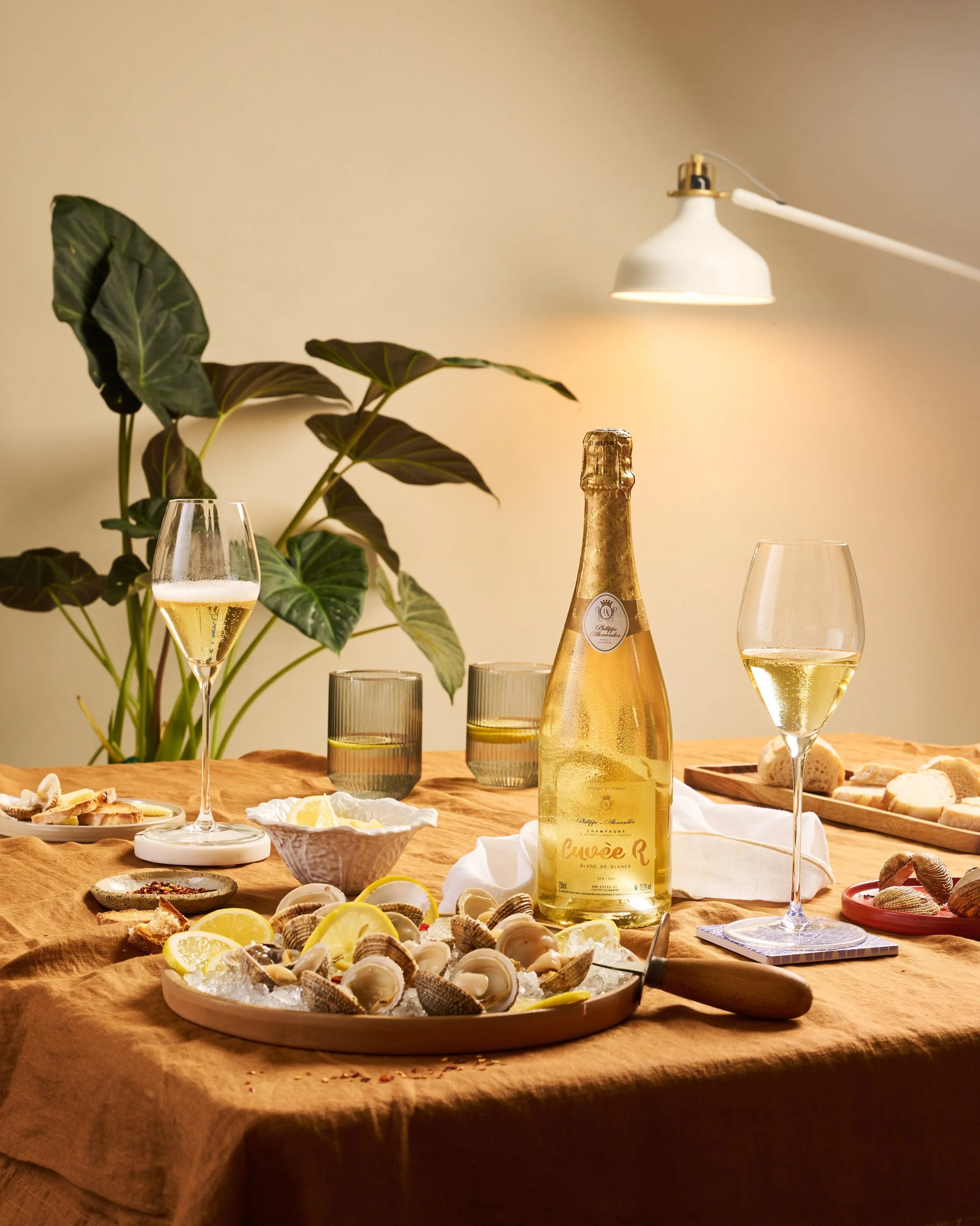 Philippe Alexander 7-20237064.jpeg