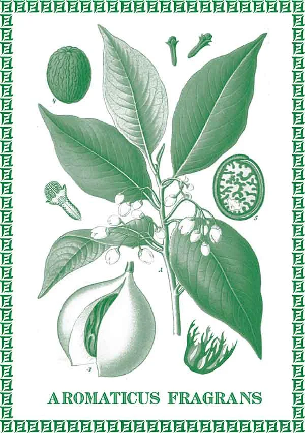 Grenada Orange