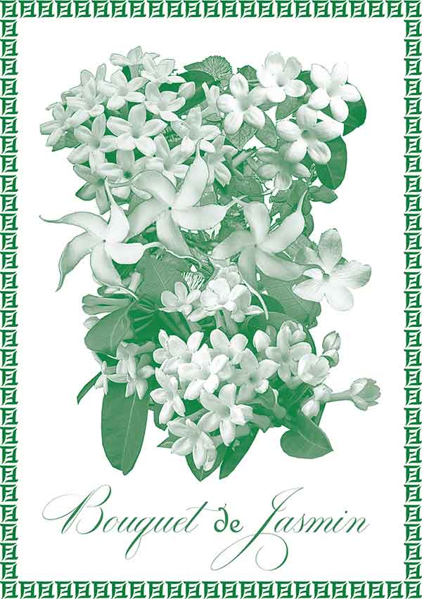 Jasmine Blossom Feminine. Jasmine Blossom celebrates its namesake, Jasmin , arguably the greatest perfume ingredient of all time. My formula contains four different varieties of this incredibly fragrant flower, including two precious extraits . I use small amounts of other ingredients to support an indulgent and narcotic experience.