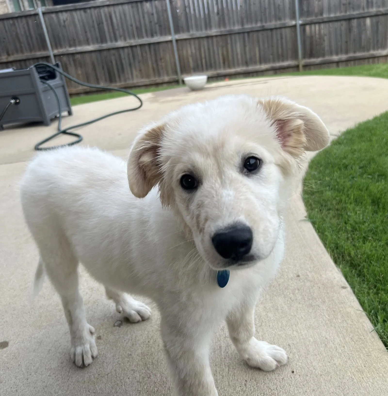 Marley