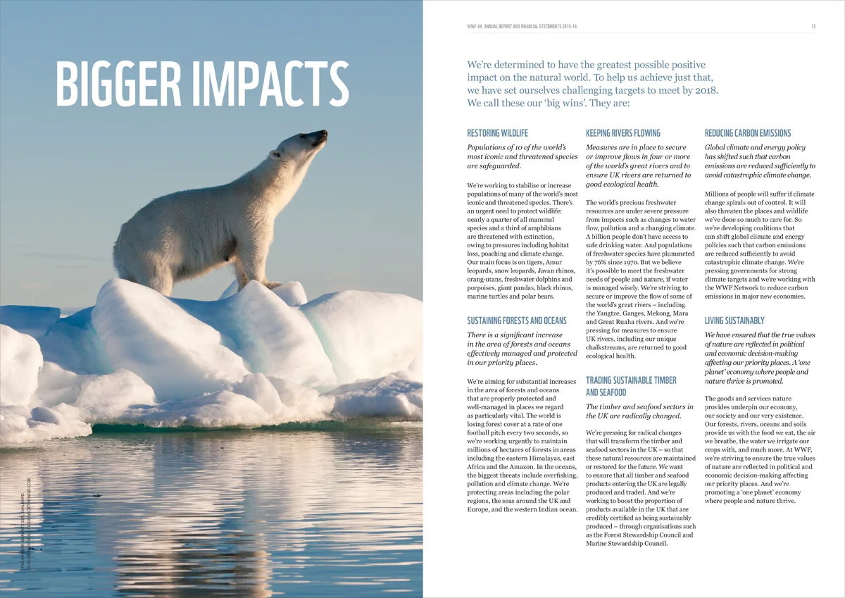 WWF-Annual-Report01.jpg