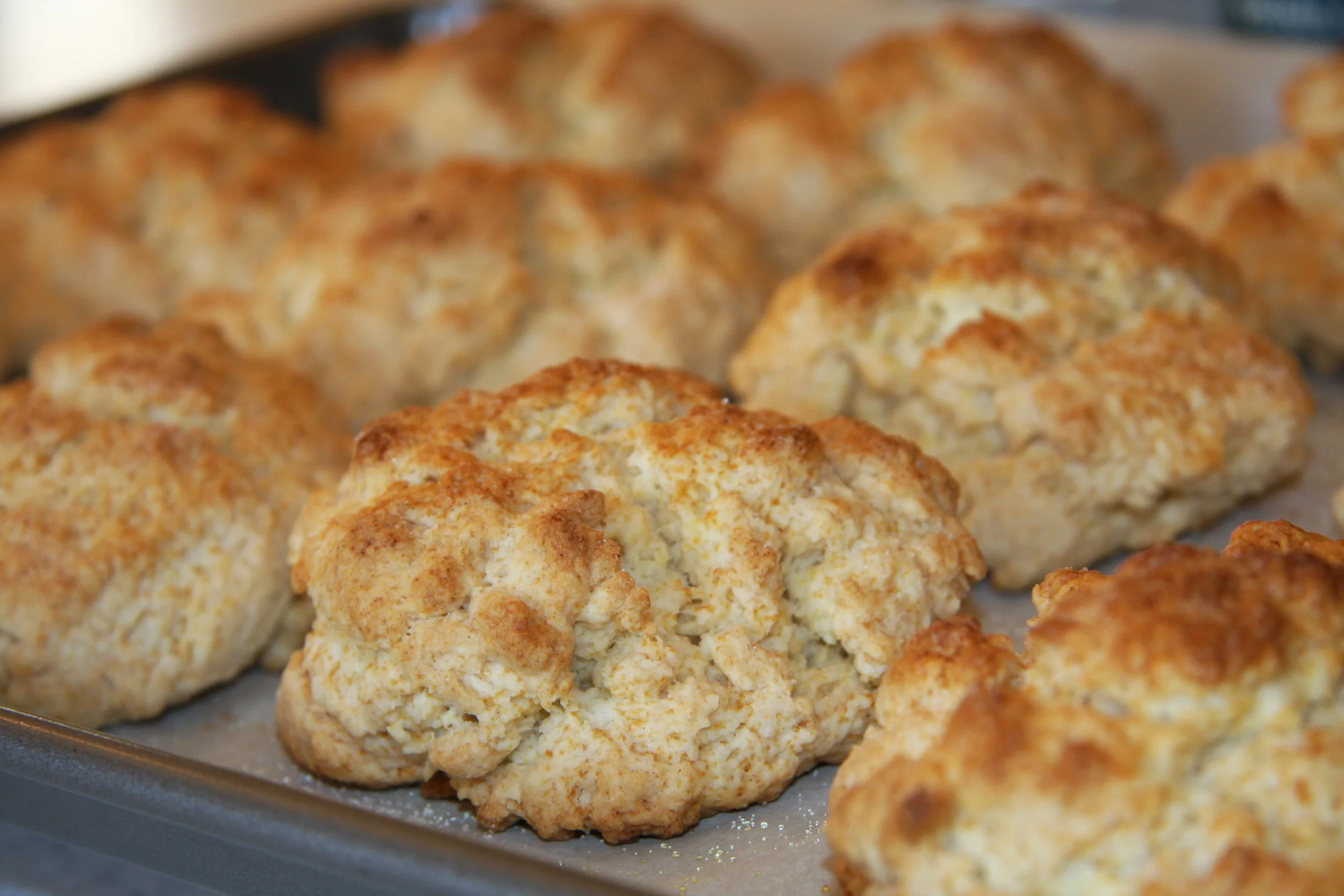 Tray of Shortcake.JPG