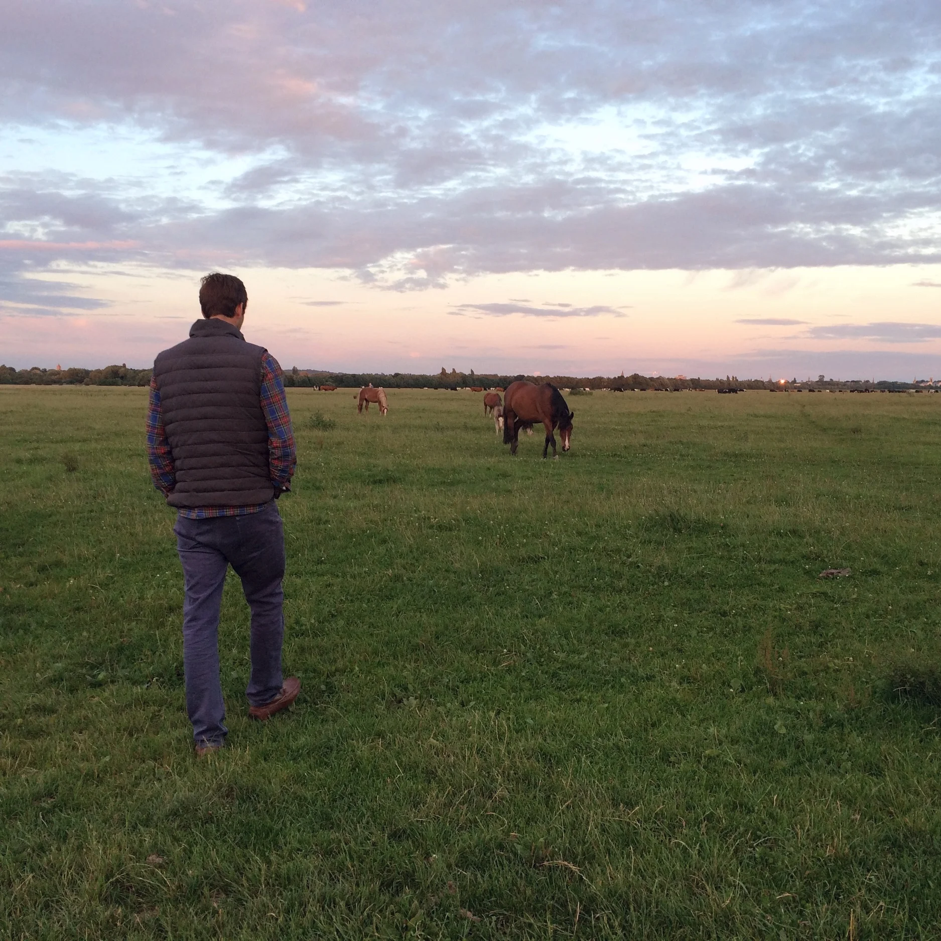 Day 14 : Port Meadow.