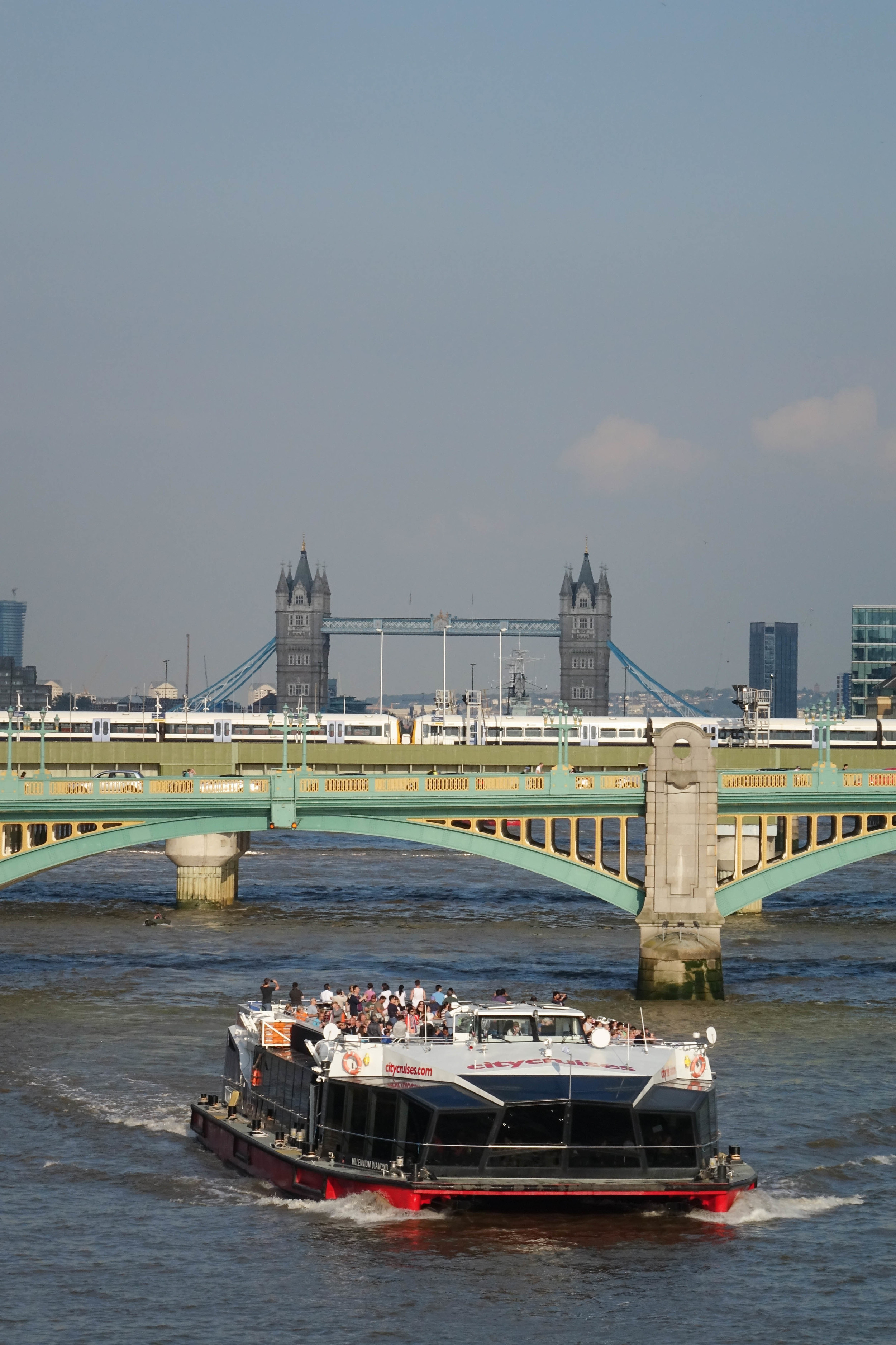 DSC00525.jpg