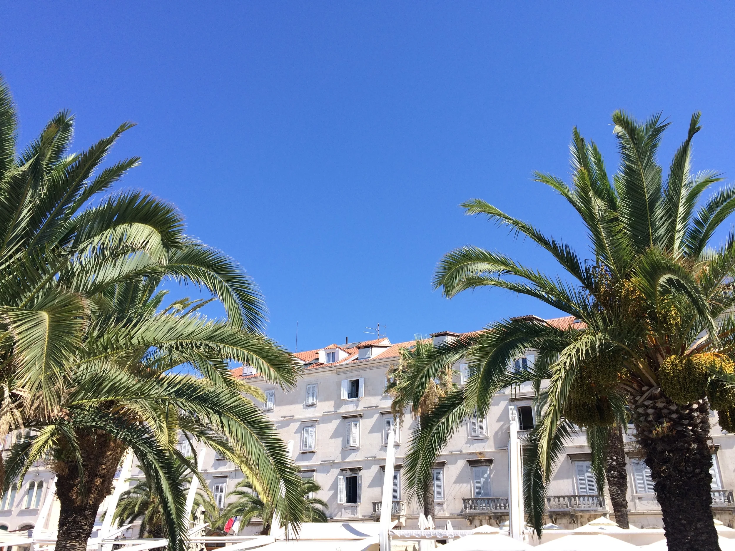 Day 39: The Riva Promenade.