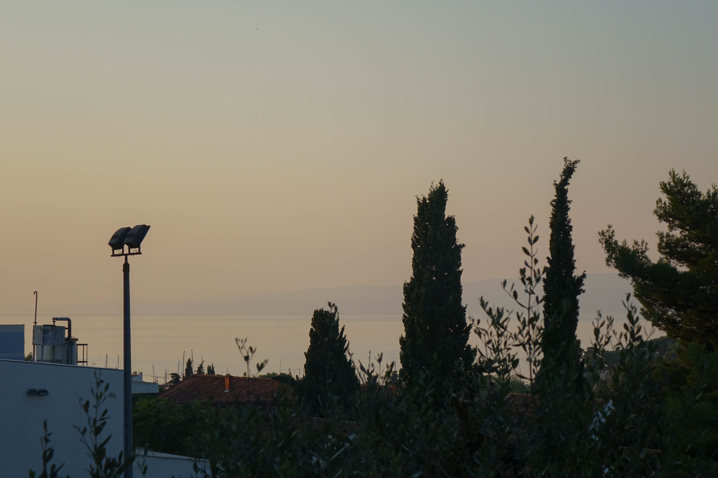DSC01372.jpg