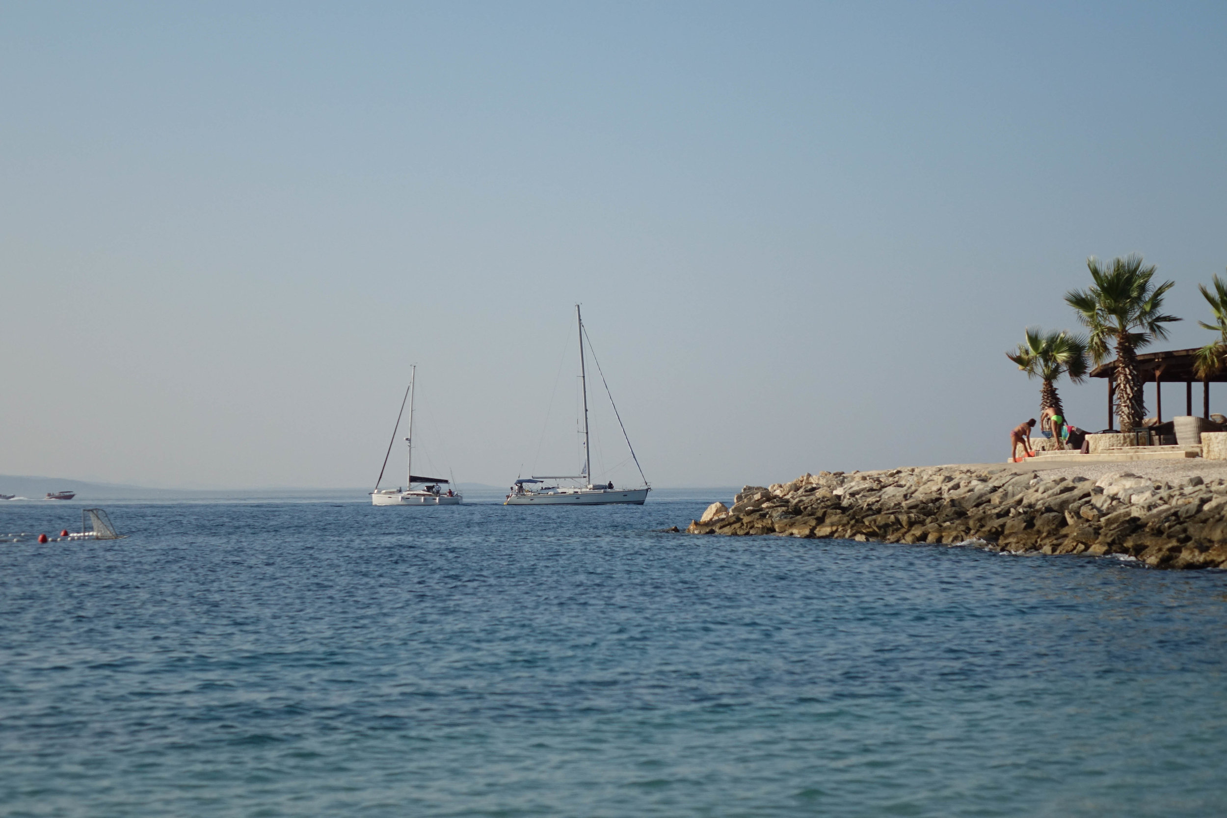 DSC01495.jpg
