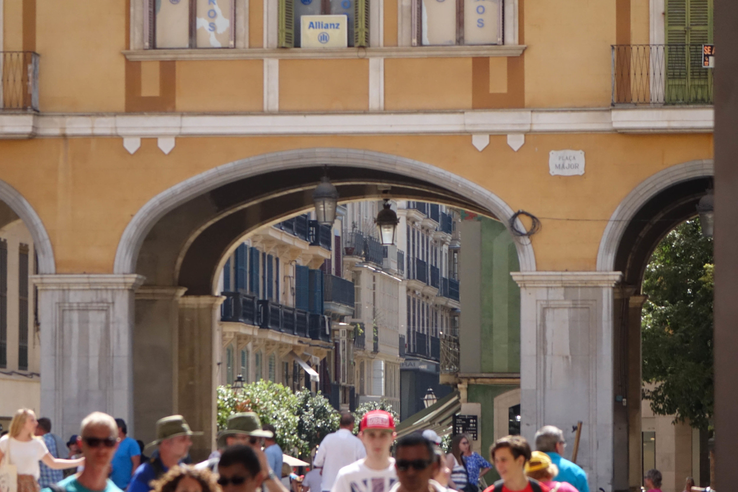 DSC02028.jpg