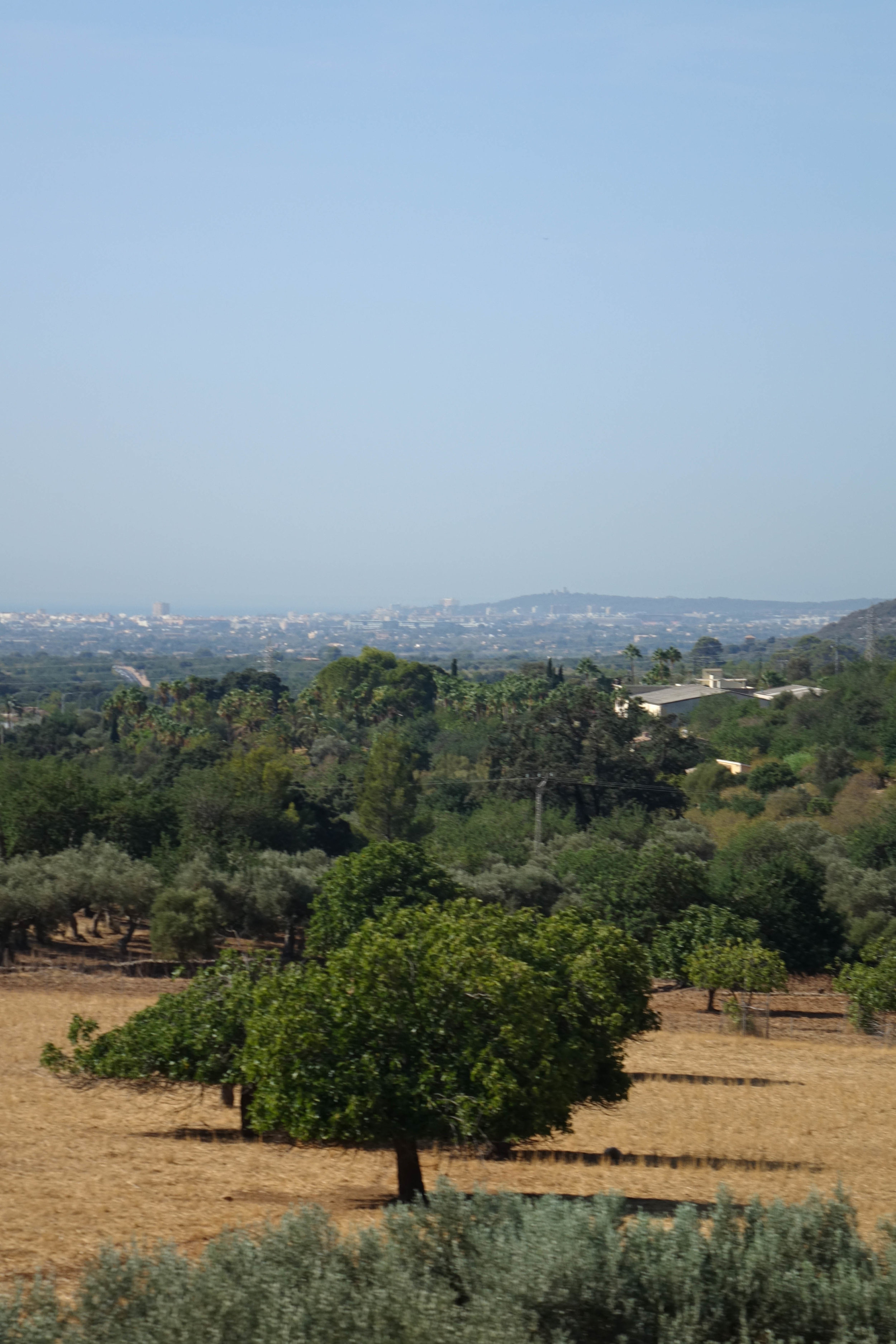 DSC01843.jpg