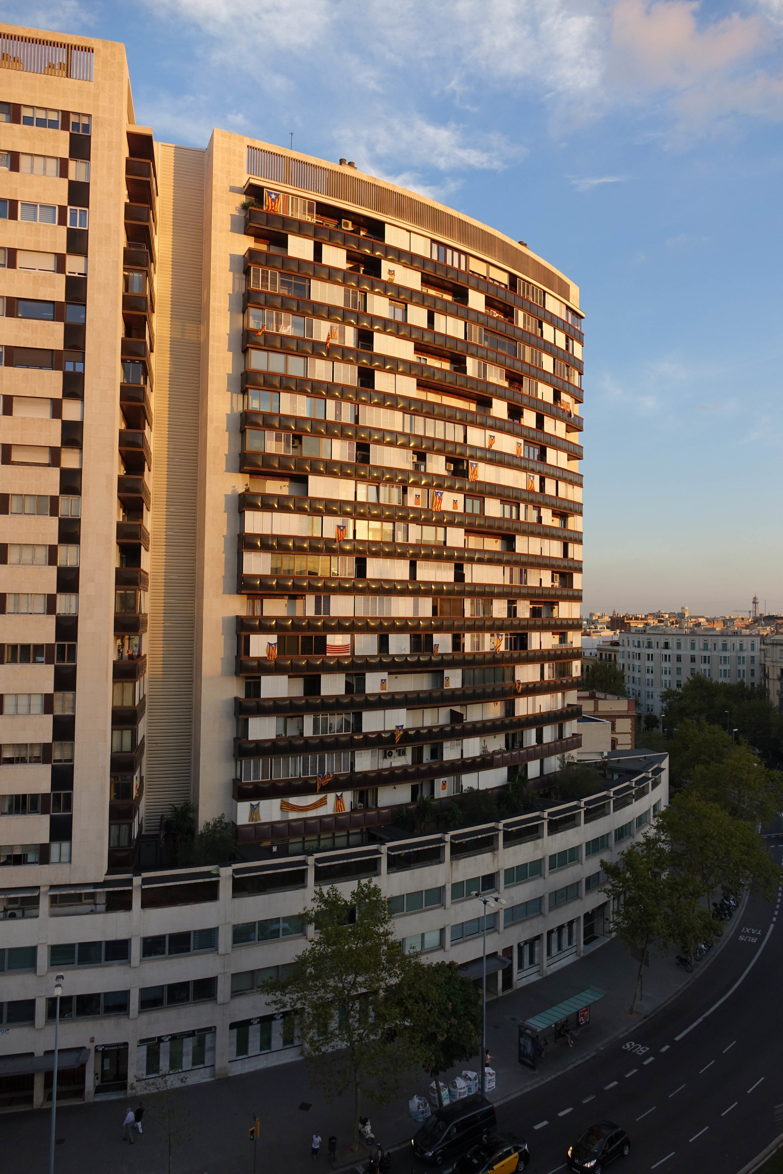 DSC02465.jpg