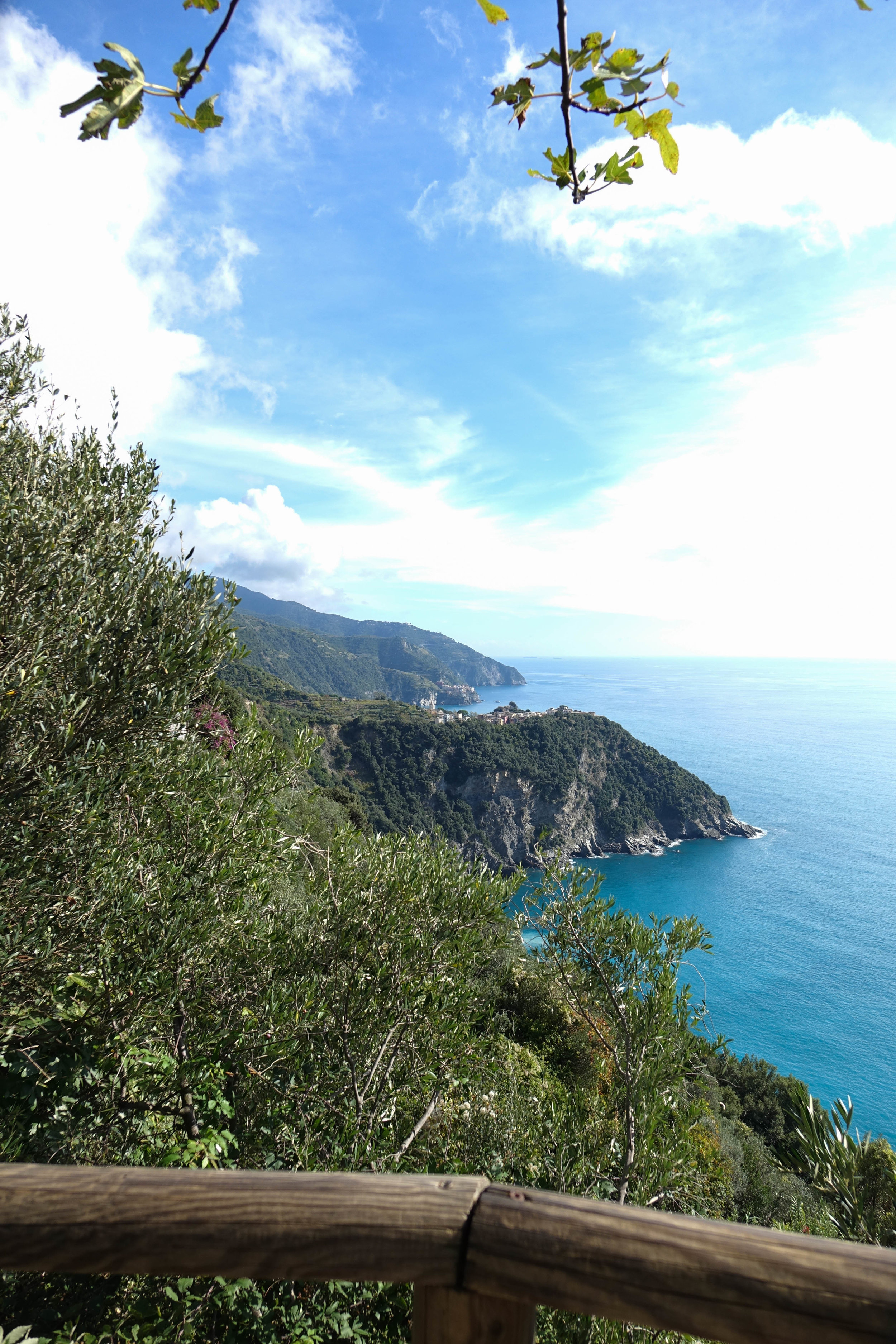 DSC04114.jpg