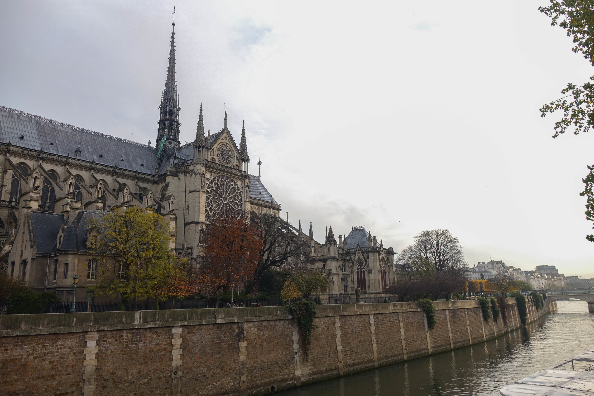 DSC05899.jpg