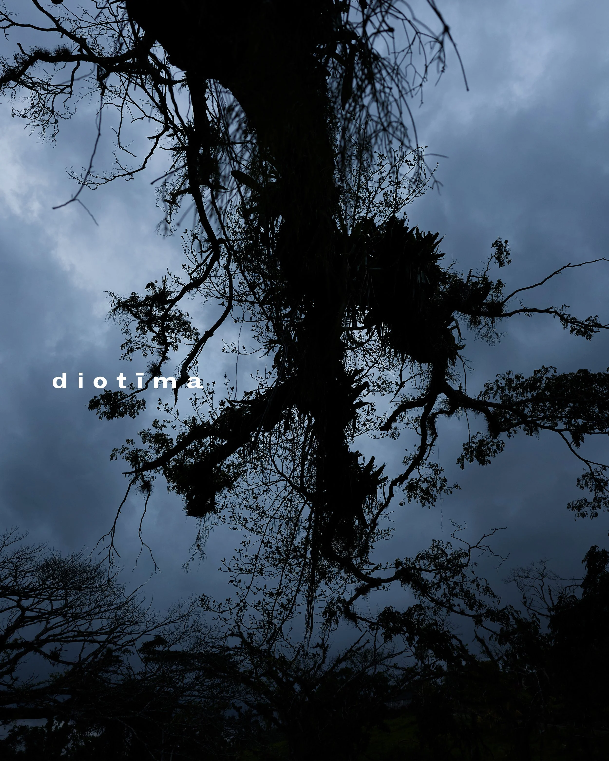 01_DIOTIMAFW26_IGLOGO_12.jpg