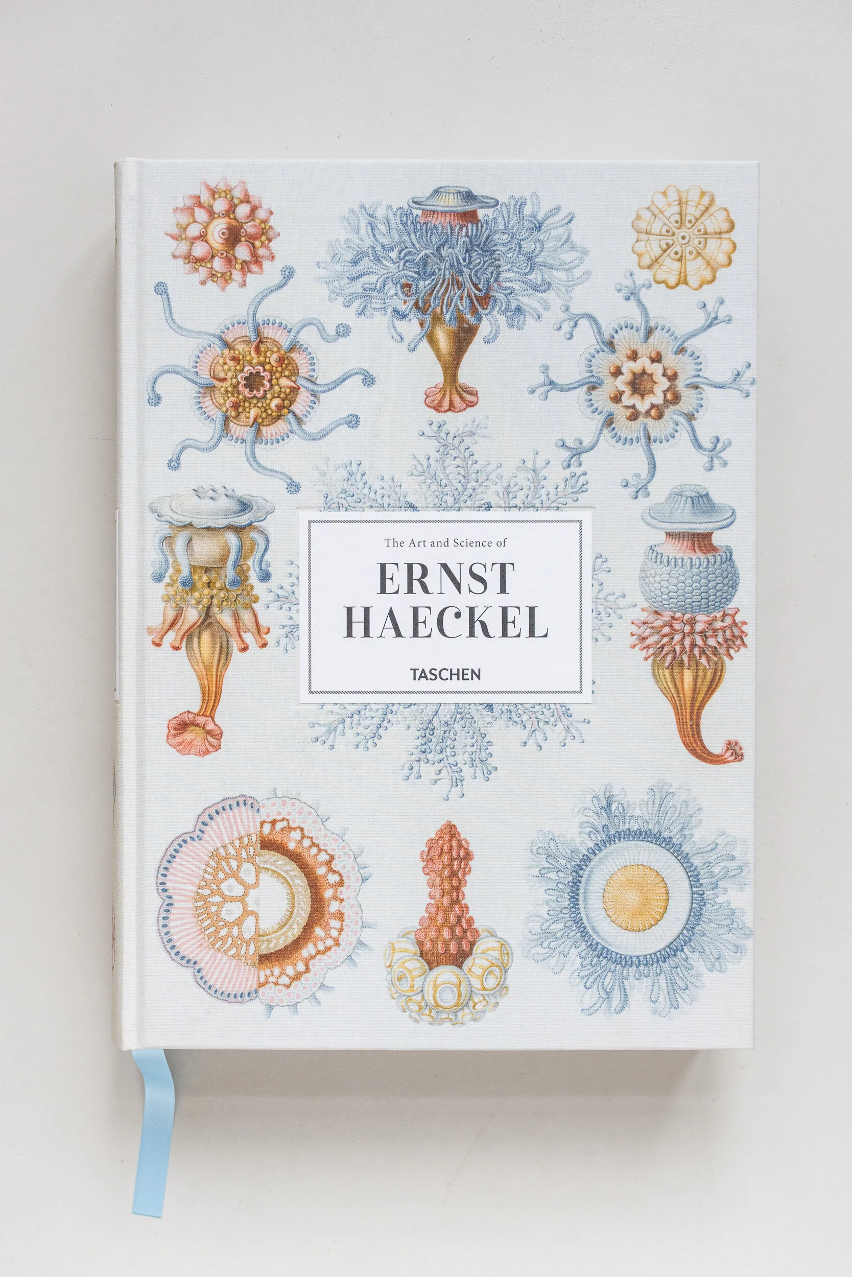 sunday_shop_books_fall_2019-12.jpg