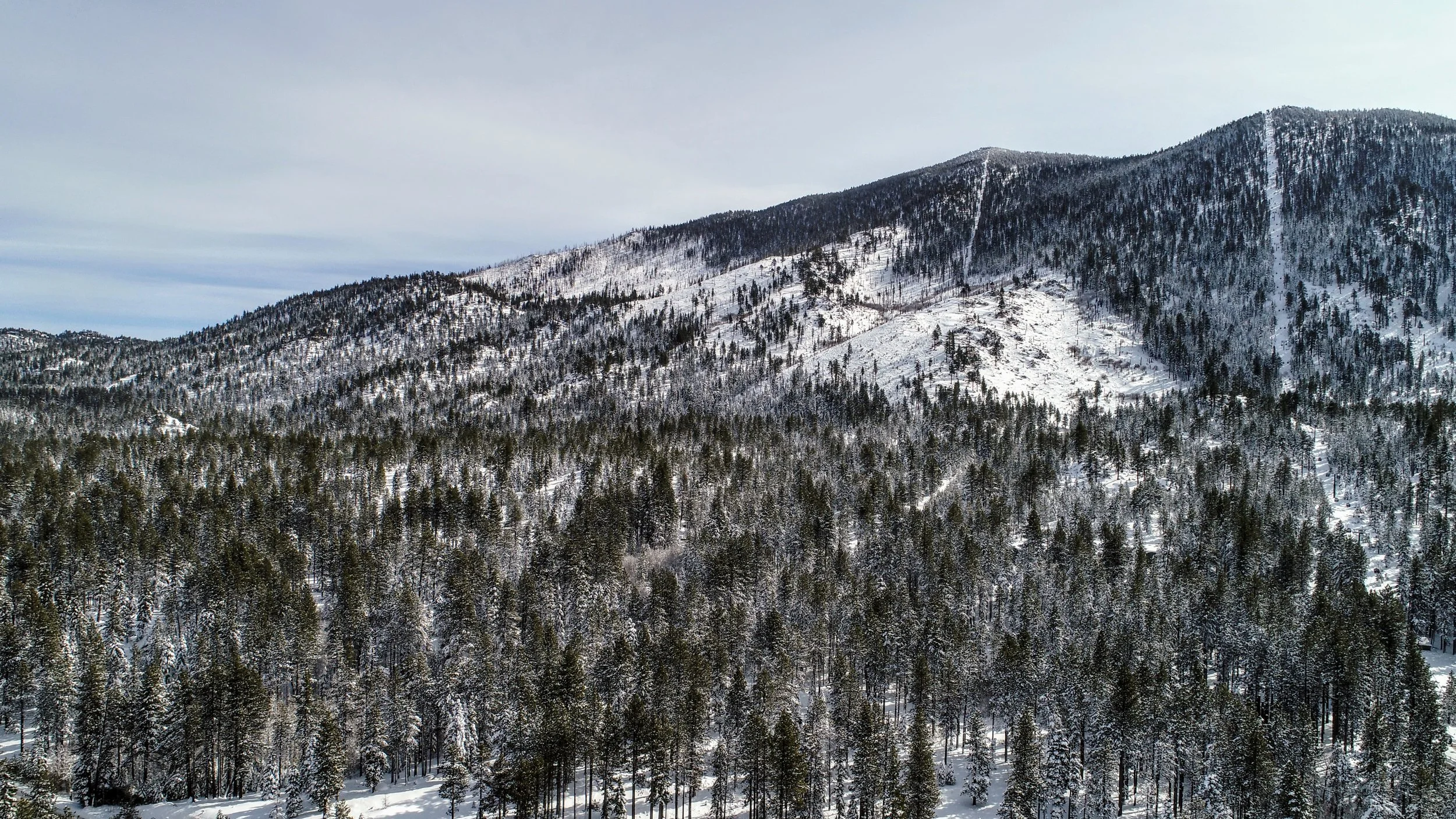 DJI_0021.jpg
