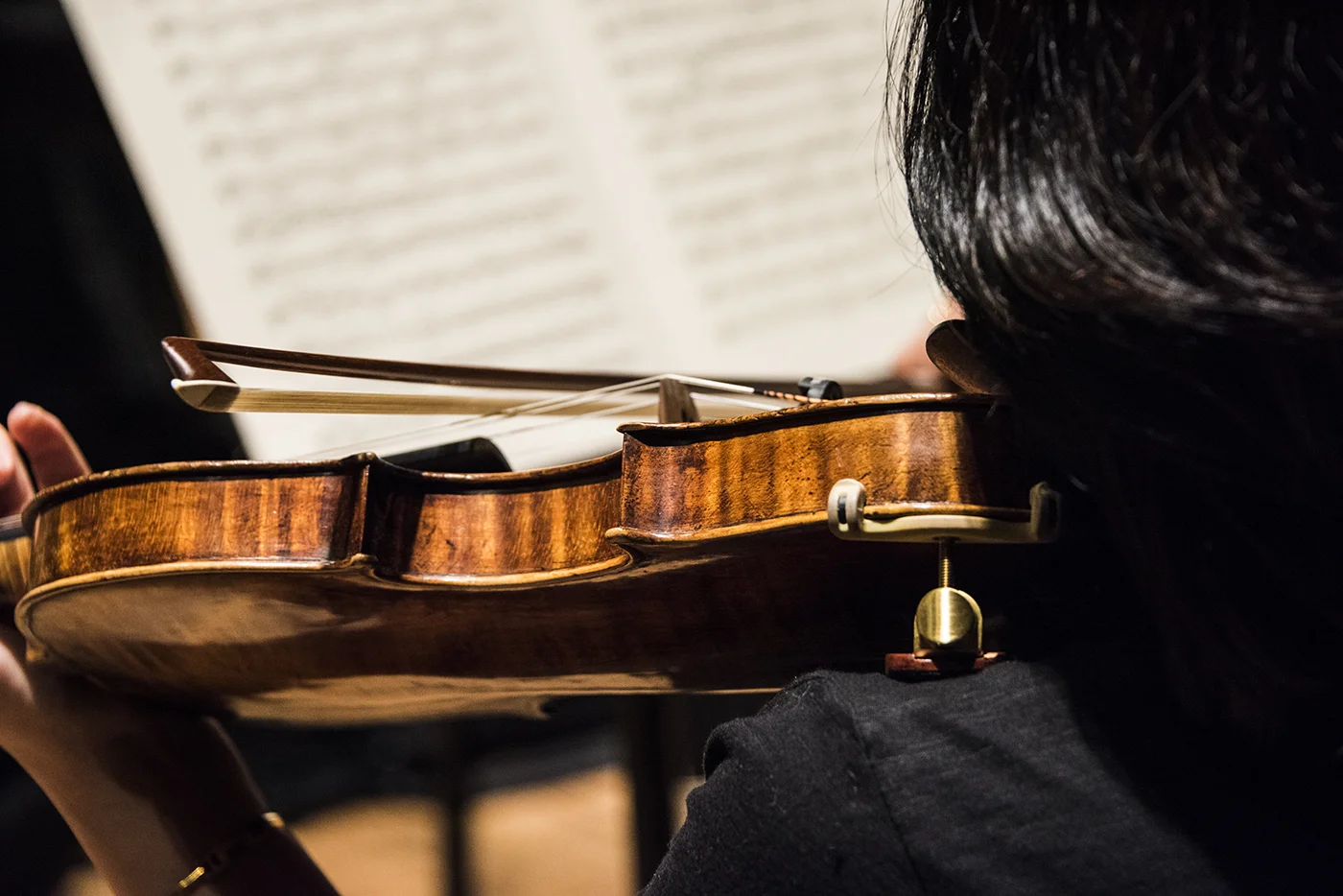Violin.jpg