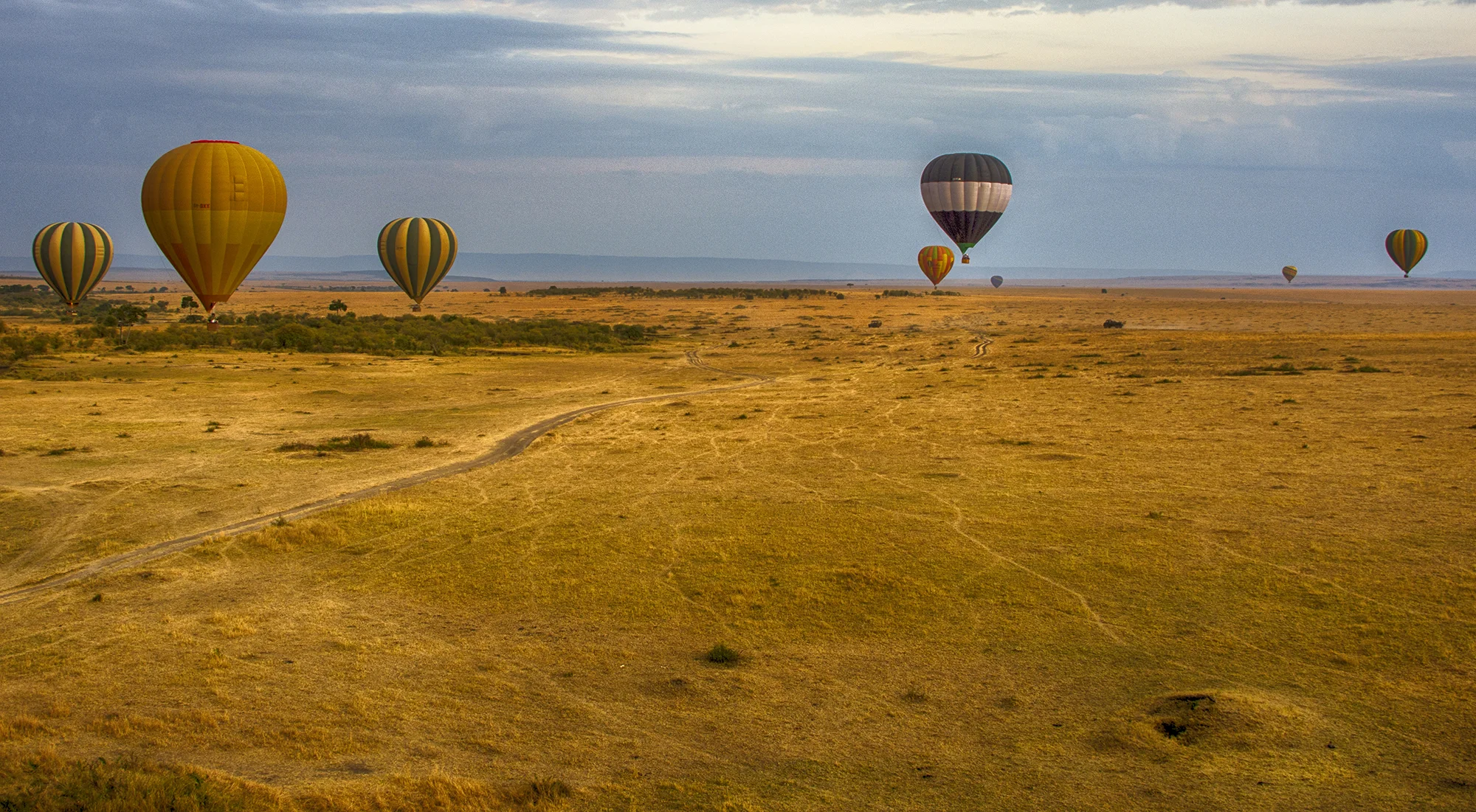 Balloon NIK 5b.jpg