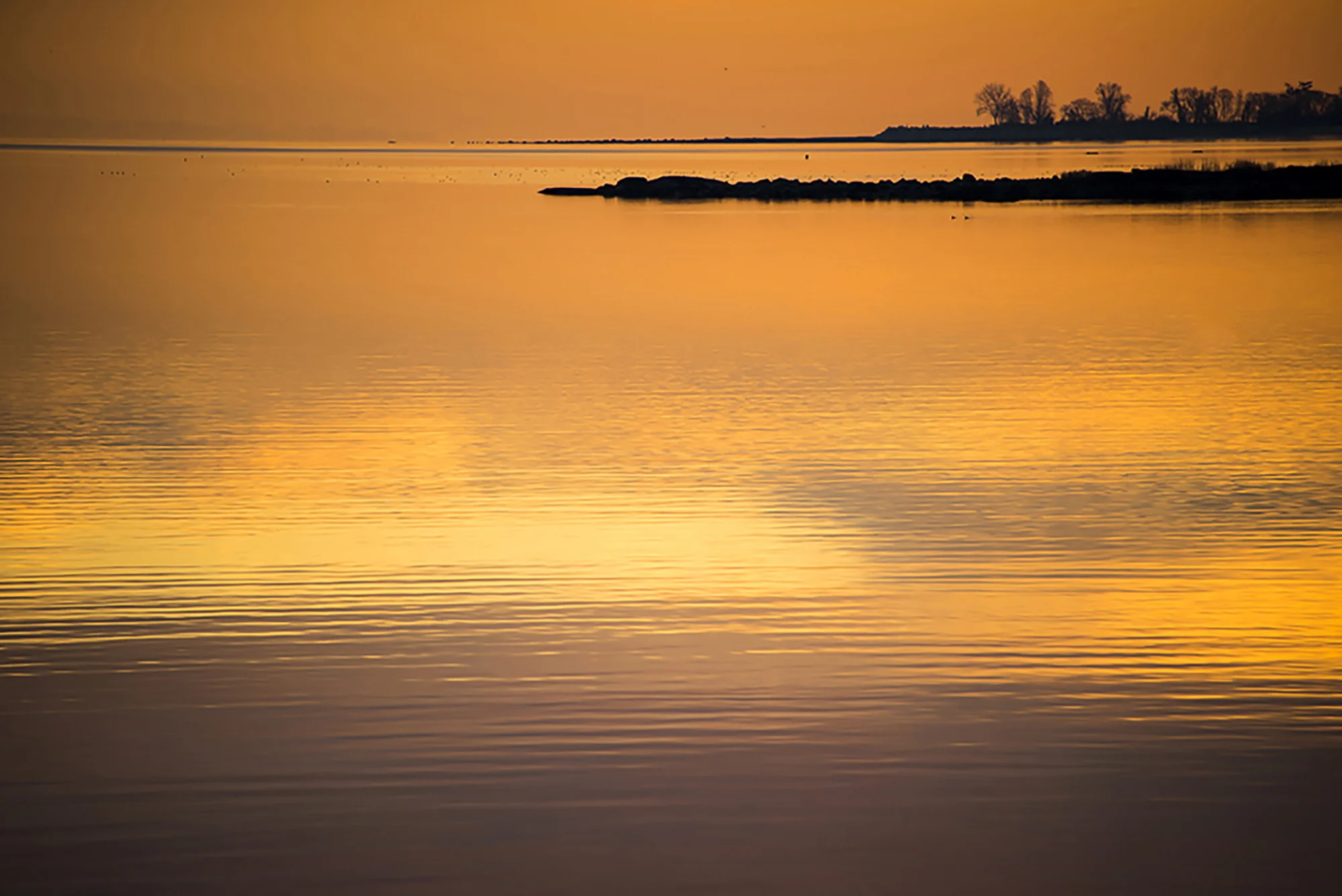 16 Yellow Harbor copy 2.jpg