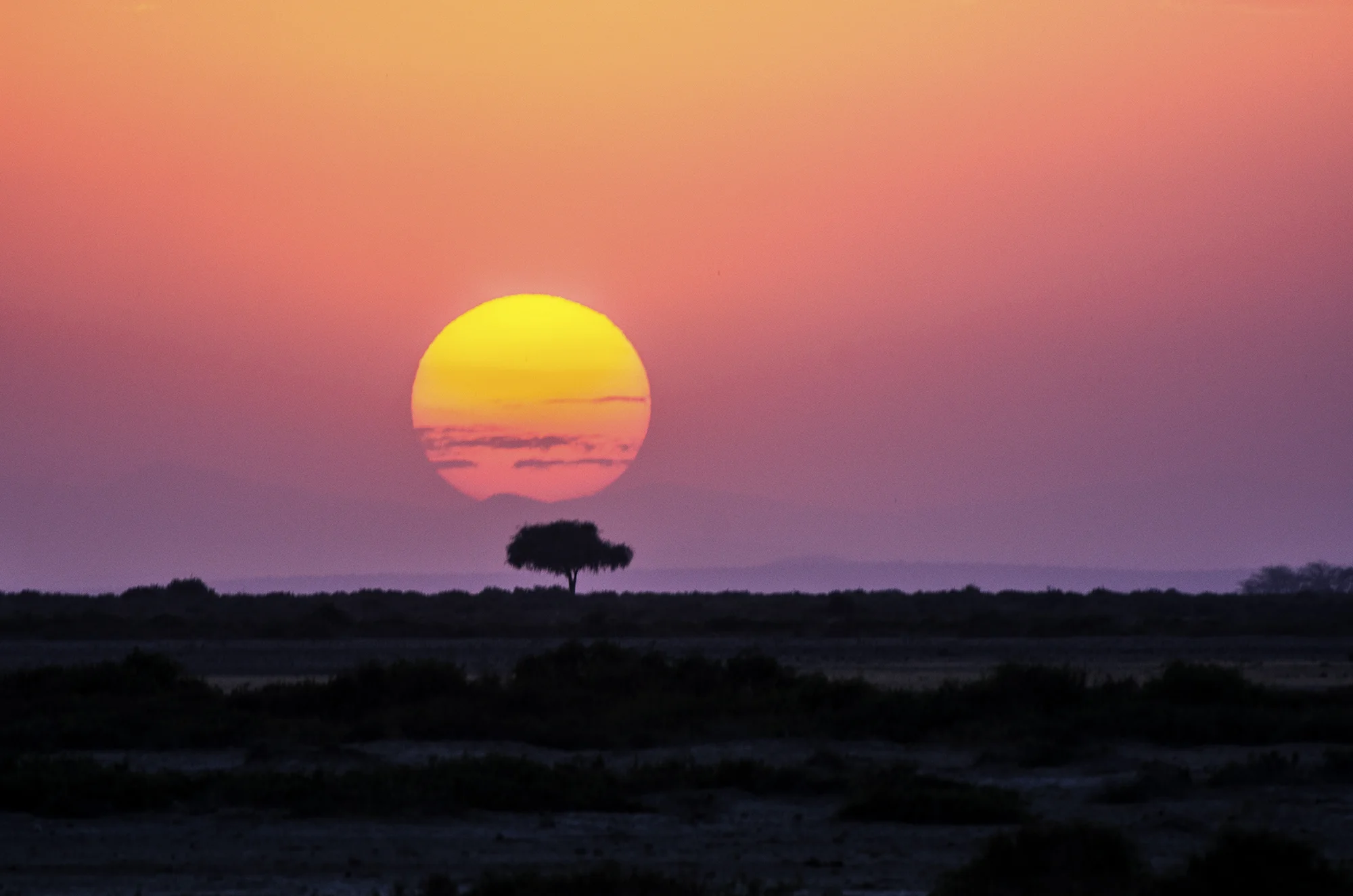 2 Violet Sunset.jpg