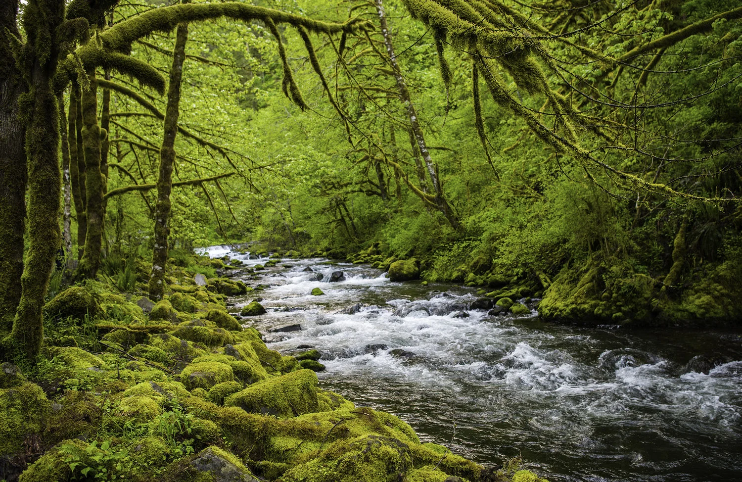 Oneonta+Creek.jpg
