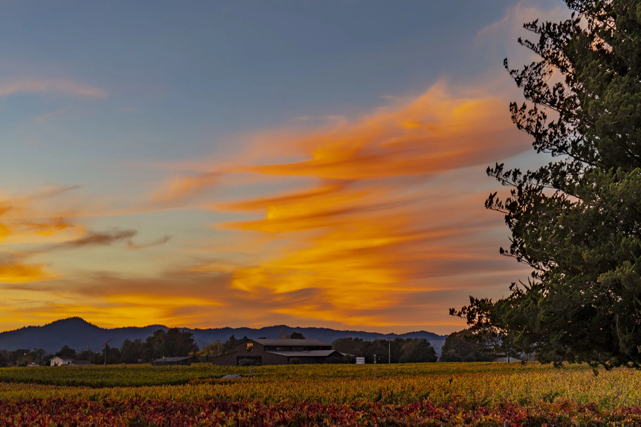Fall Sunset.jpg