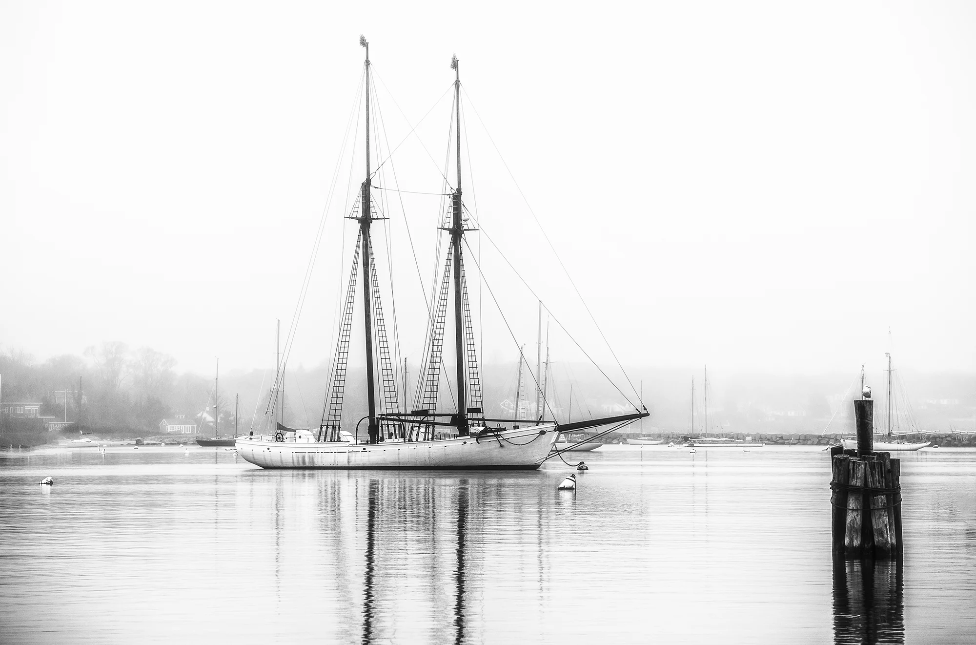 Schooner+copy.jpg