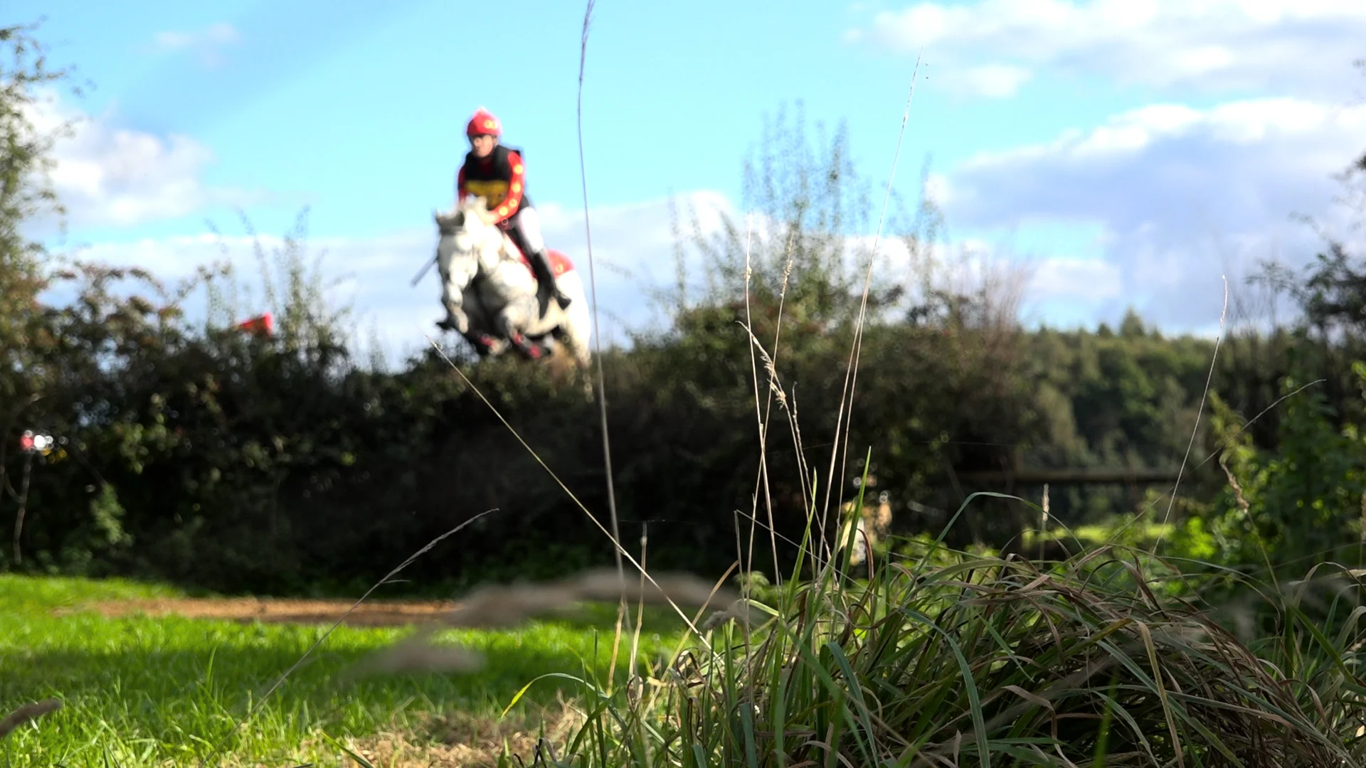 Jump 2.jpg