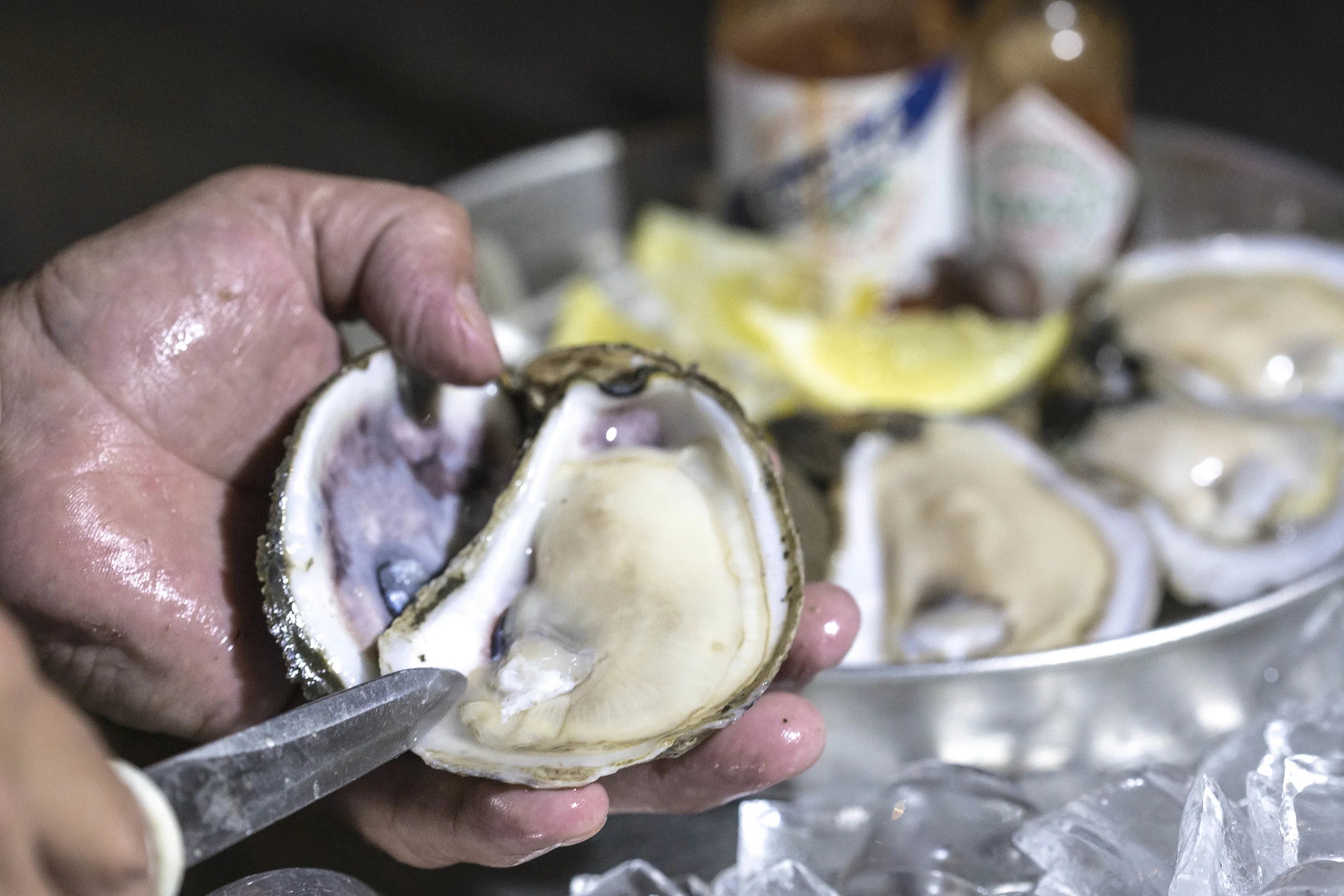 Cooter Browns Photos23.JPG