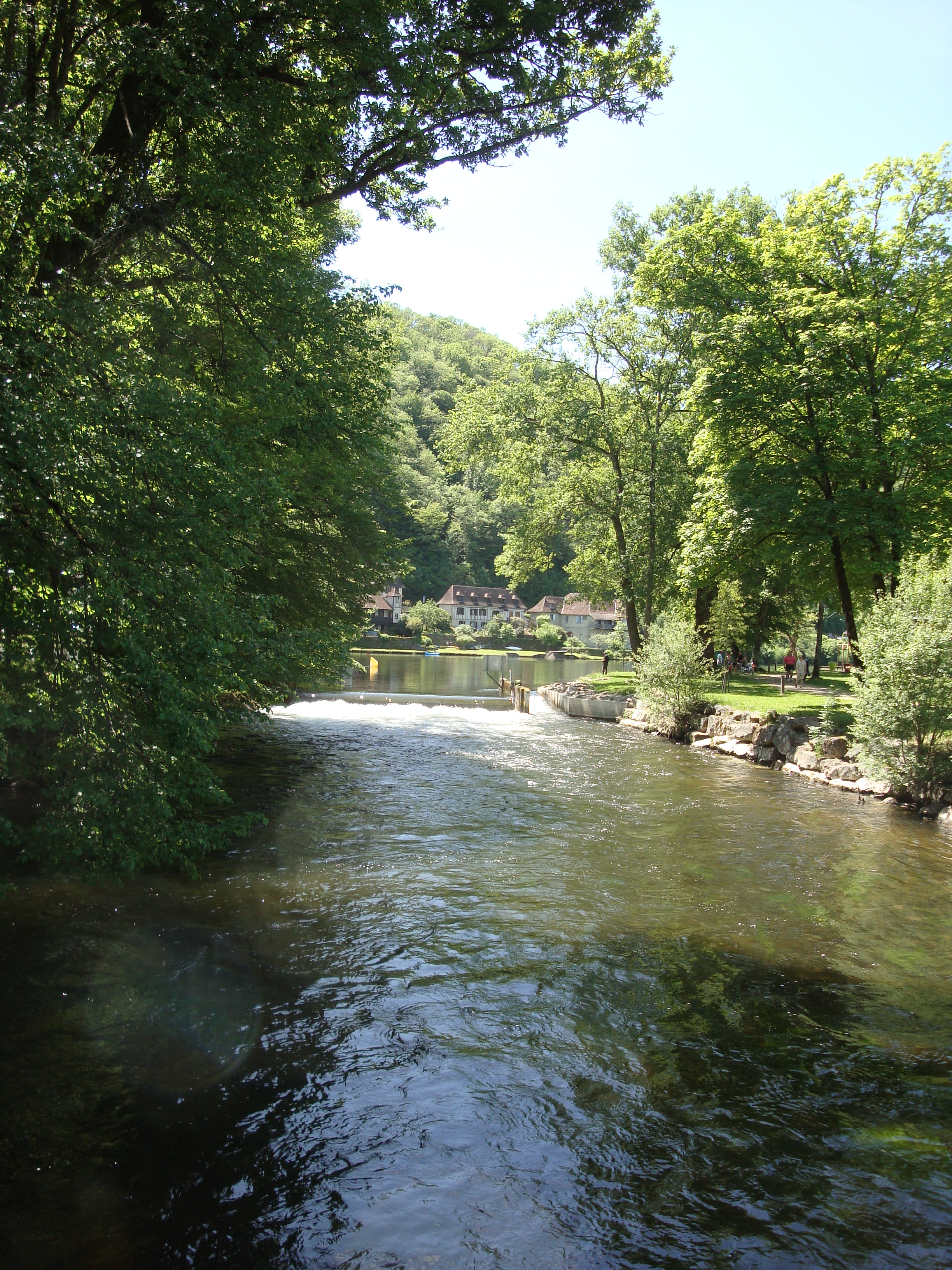 DSC03229.JPG