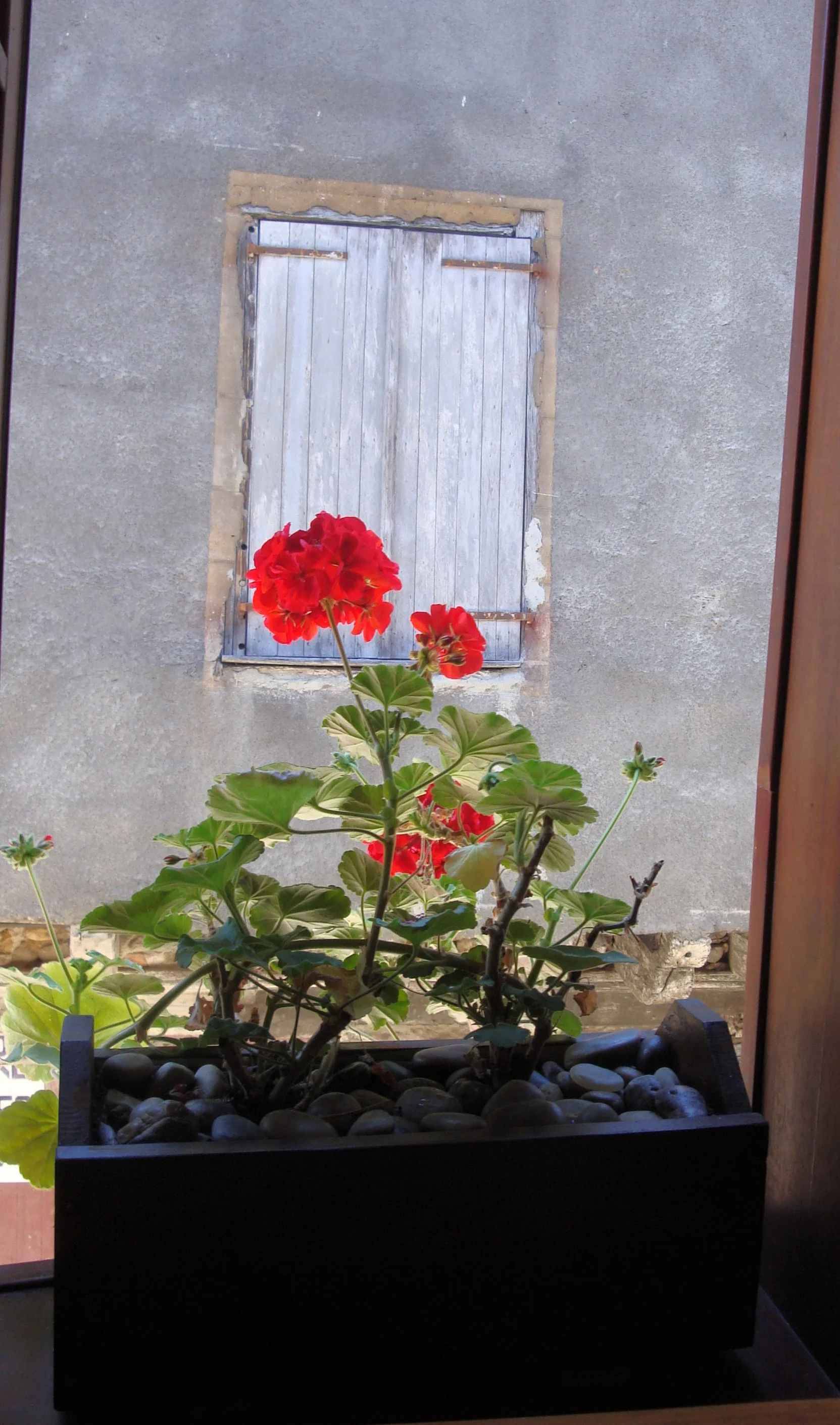 DSC03492.JPG