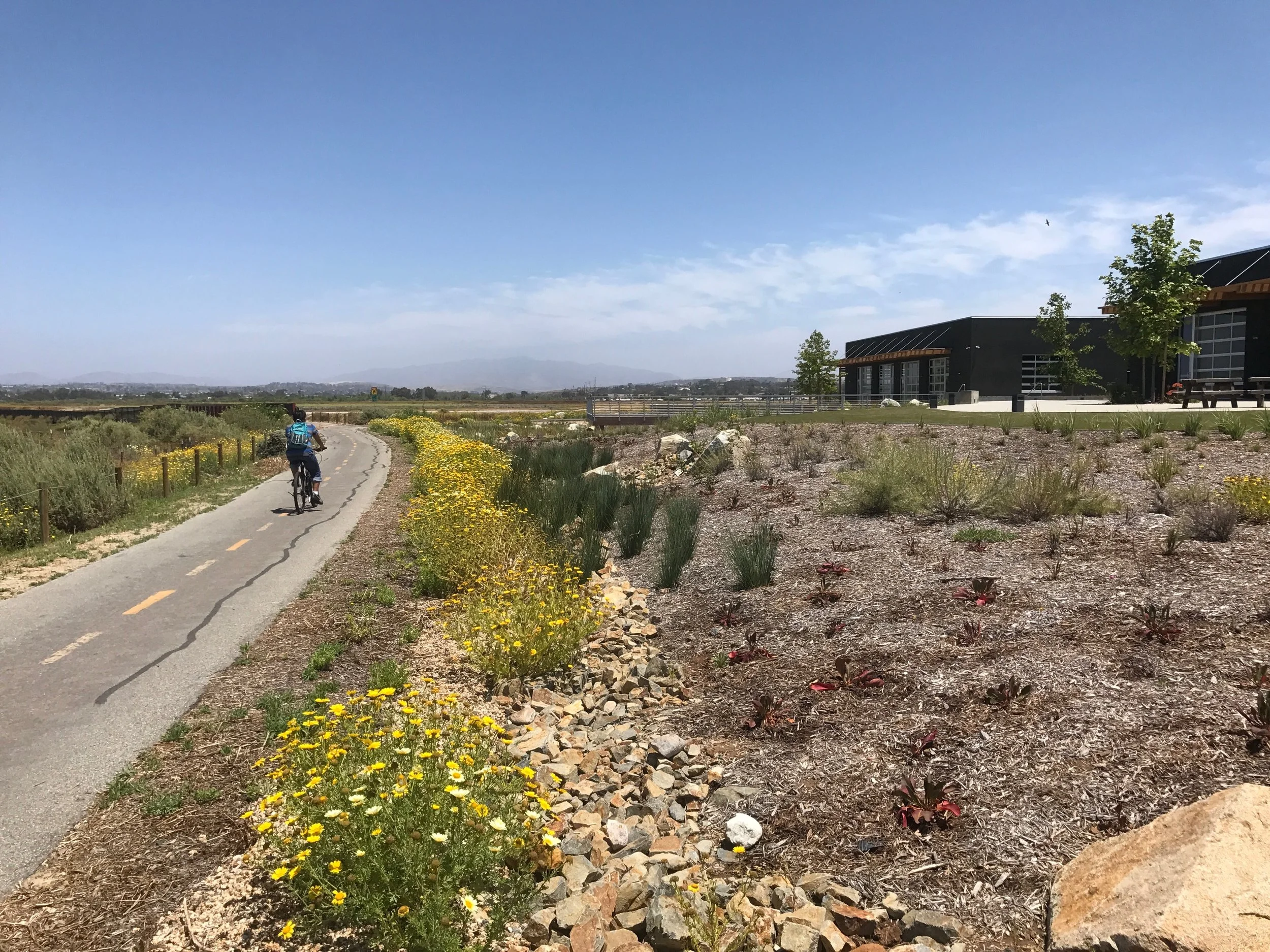bike shop imperial beach