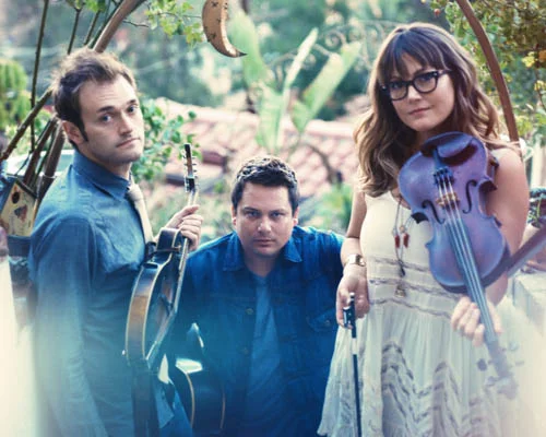 GEAR:   ANTHEM   |   LYRIC   |   VIOLIN PICKUP   |   VENUE DI