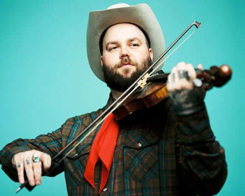 GEAR:   ANTHEM   |   M1   |   VIOLIN PICKUP