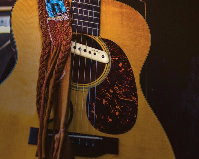 Acoustic Instrument Pickups