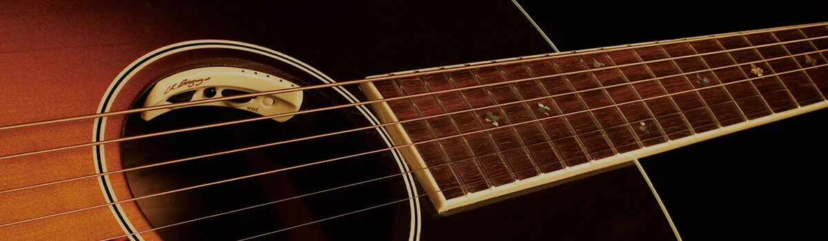 lr-baggs-anthem-acoustic-guitar-pickup-microphone-banner.jpg