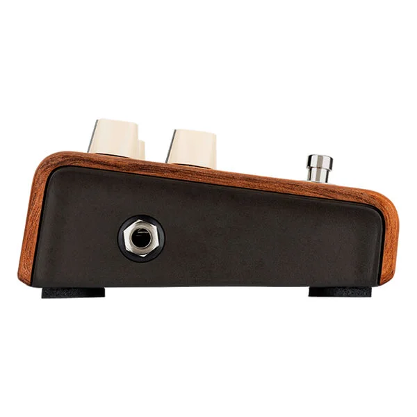 LR Baggs Align Series Reverb (Copy)