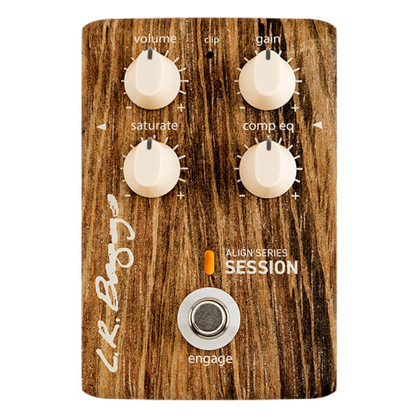 LR Baggs Align Series Session (Copy)