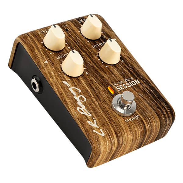 LR Baggs Align Series Session (Copy)